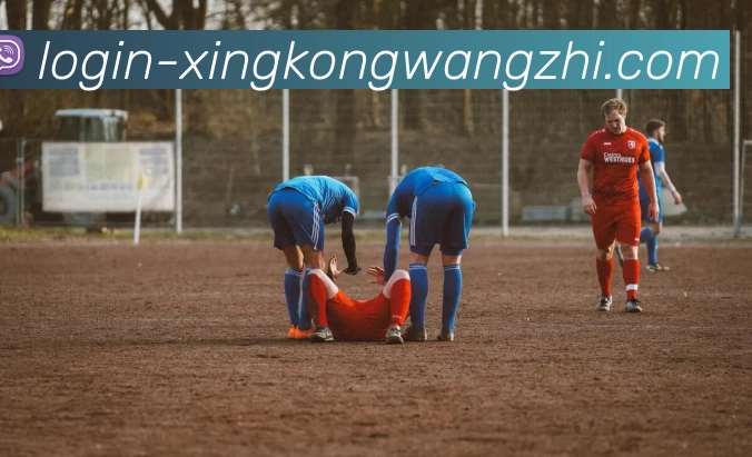 奖项证书